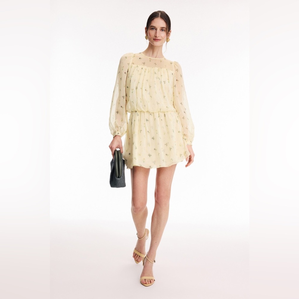 Adam Lippes Long Sleeve Mini Dress